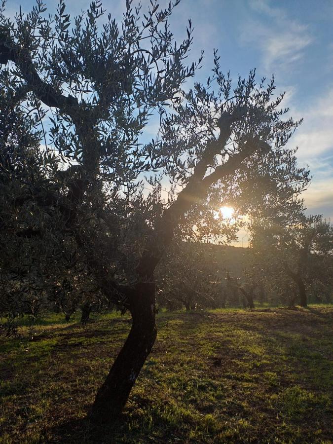 Casale Dei Priori Acomodação com café da manhã Rocca Massima Exterior foto