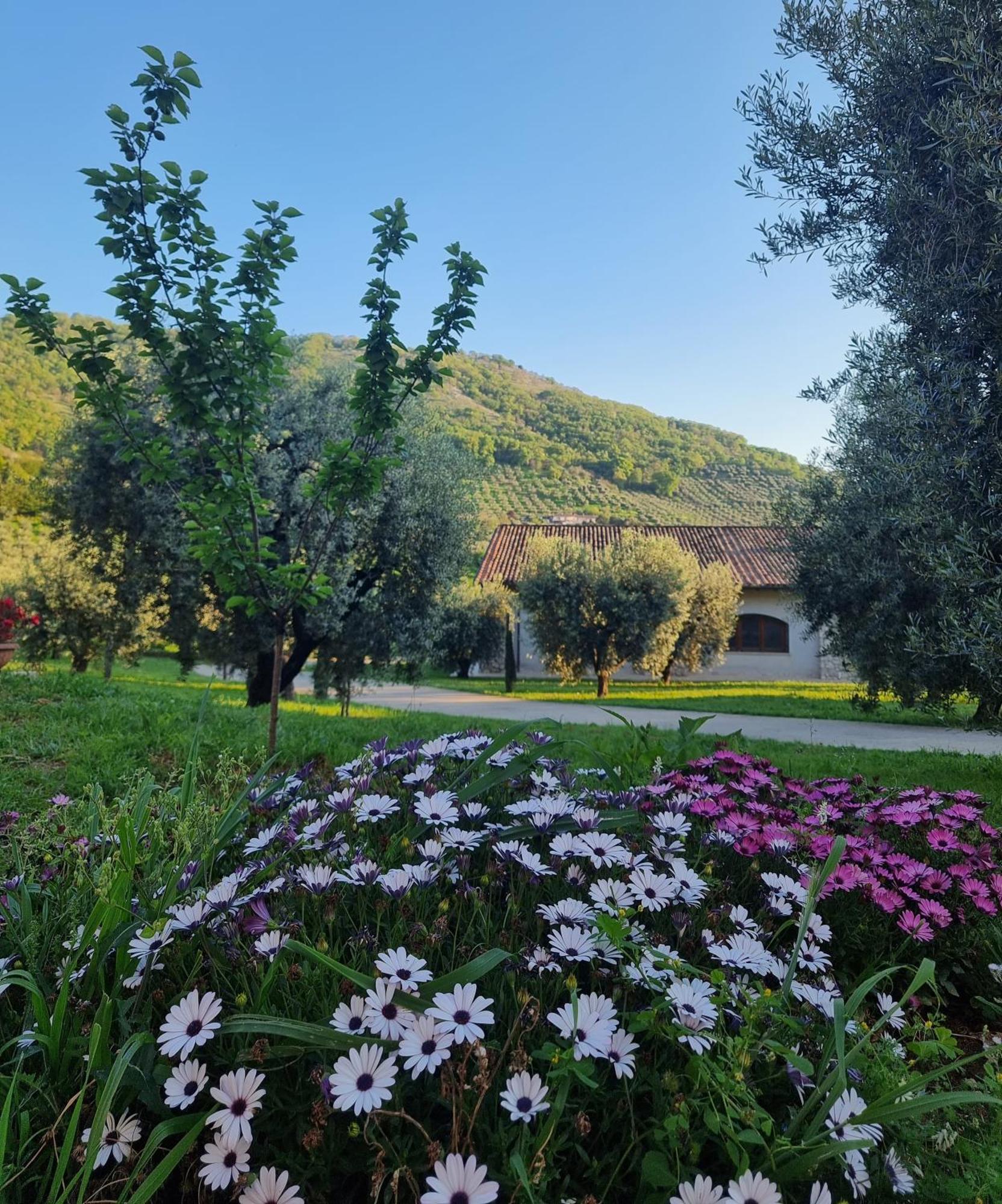Casale Dei Priori Acomodação com café da manhã Rocca Massima Exterior foto